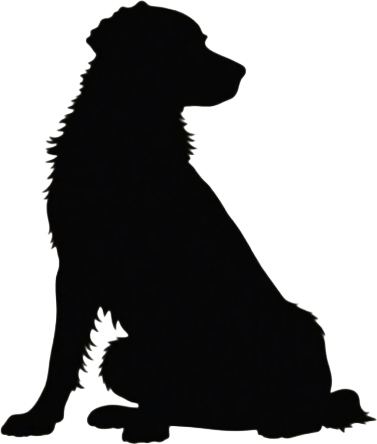 Silhouette of a Sitting Dog